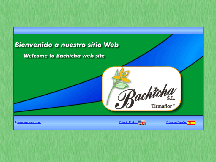 www.bachicha.net