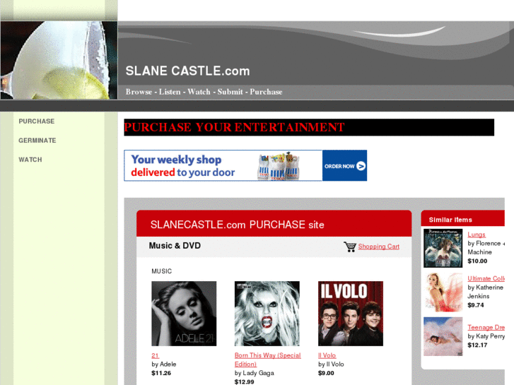 www.slanecastle.com