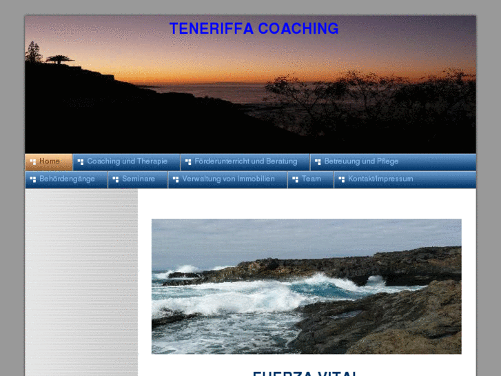 www.tenerifeservice.es