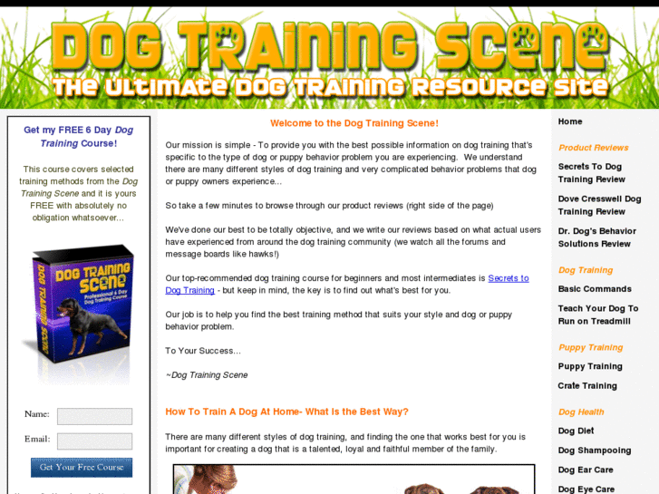 www.dogtrainingscene.com