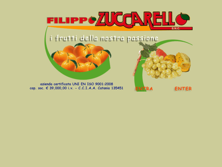 www.filippozuccarello.com