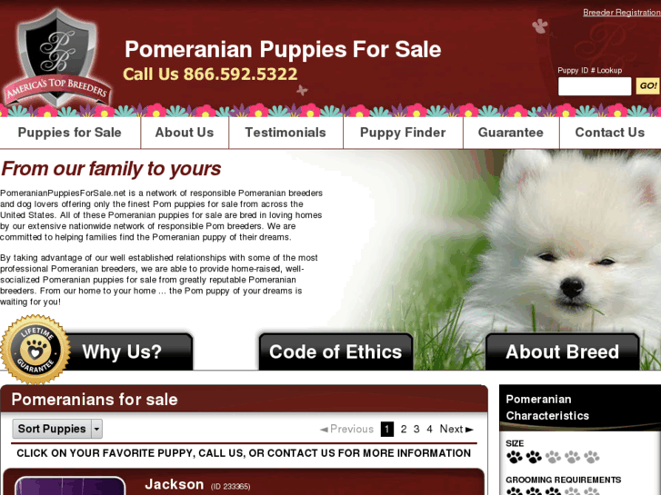 www.pomeranianpuppiesforsale.net