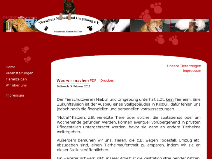 www.tierschutz-niebuell.de