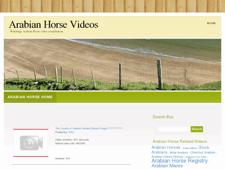 www.arabianhorsevideos.info