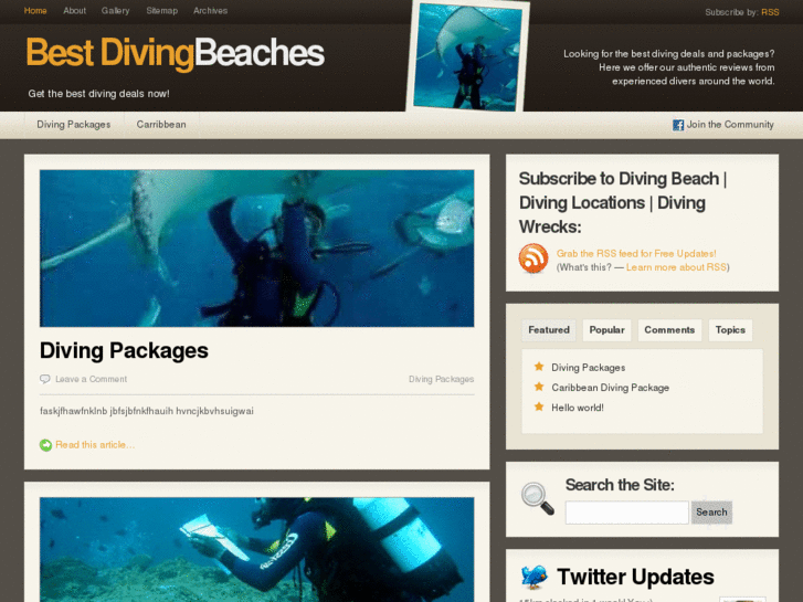 www.divingbeach.com