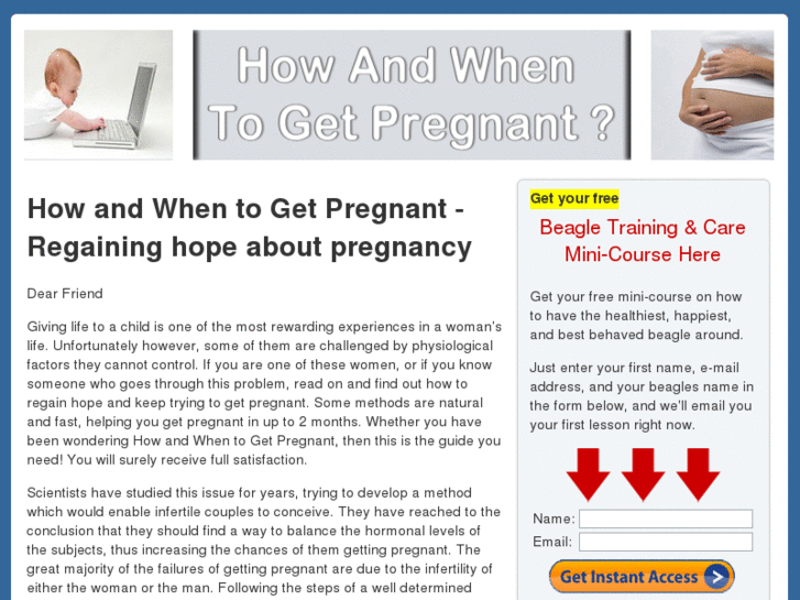 www.howandwhentogetpregnant.com