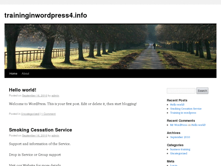 www.traininginwordpress4.info
