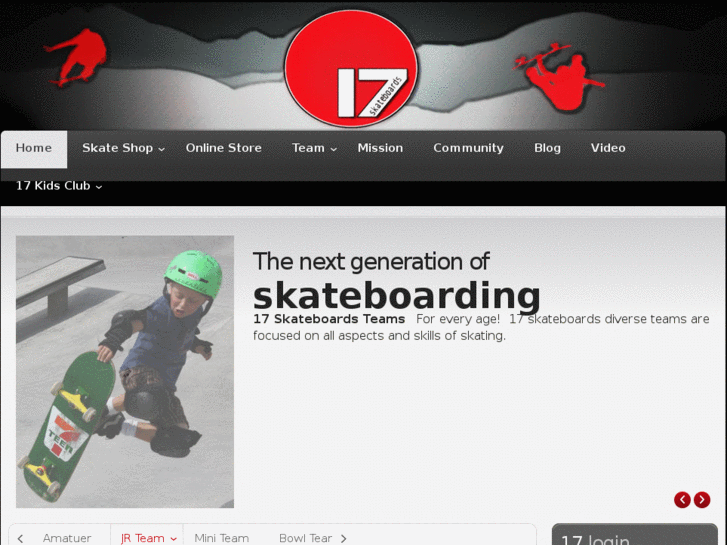 www.17skateboards.com