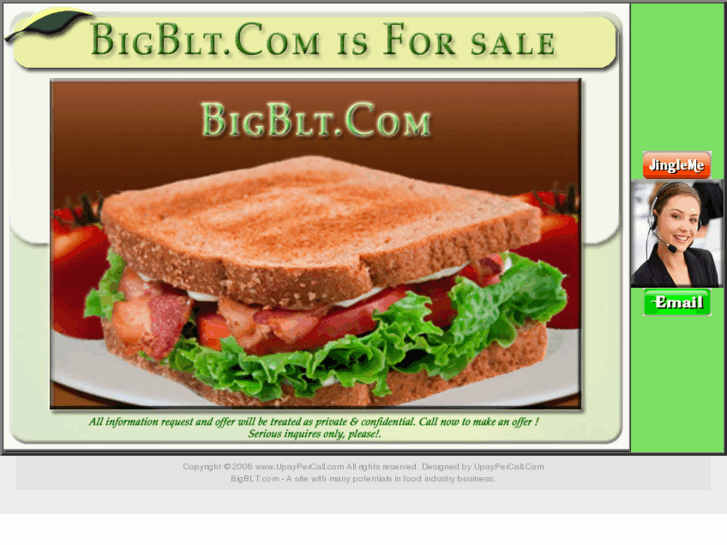 www.bigblt.com