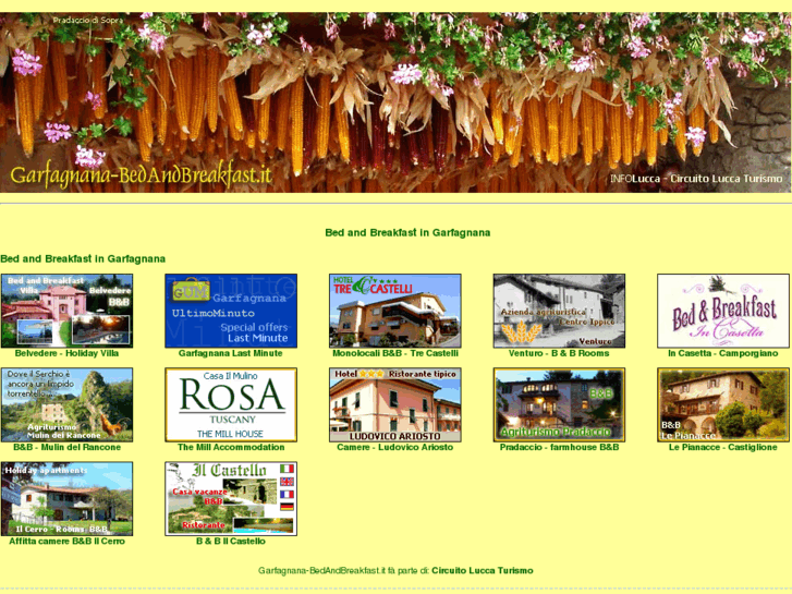 www.garfagnana-bedandbreakfast.it