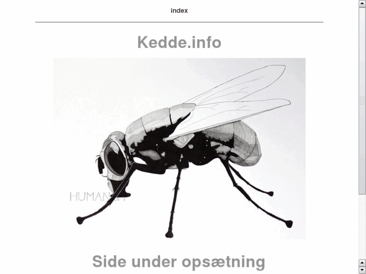 www.kedde.info