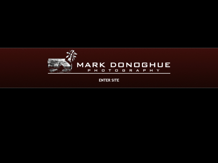 www.mark-donoghue.com