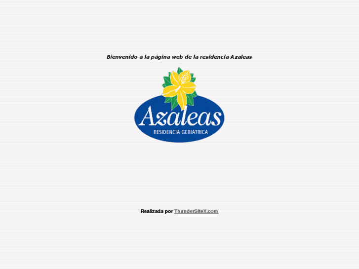 www.residencia-azaleas.com