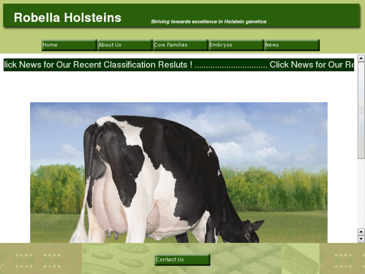 www.robellaholsteins.com