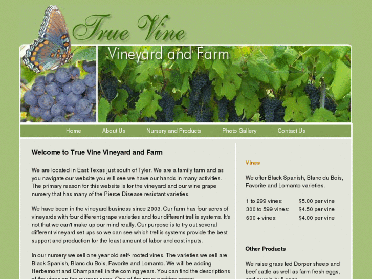 www.truevinevineyard.com