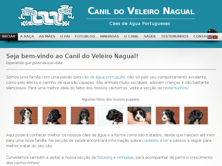 www.canilveleironagual.com