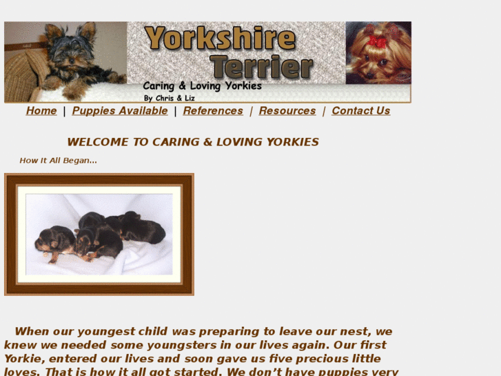 www.clyorkies.com