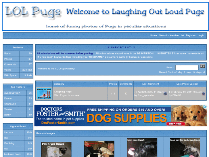 www.lolpugs.com