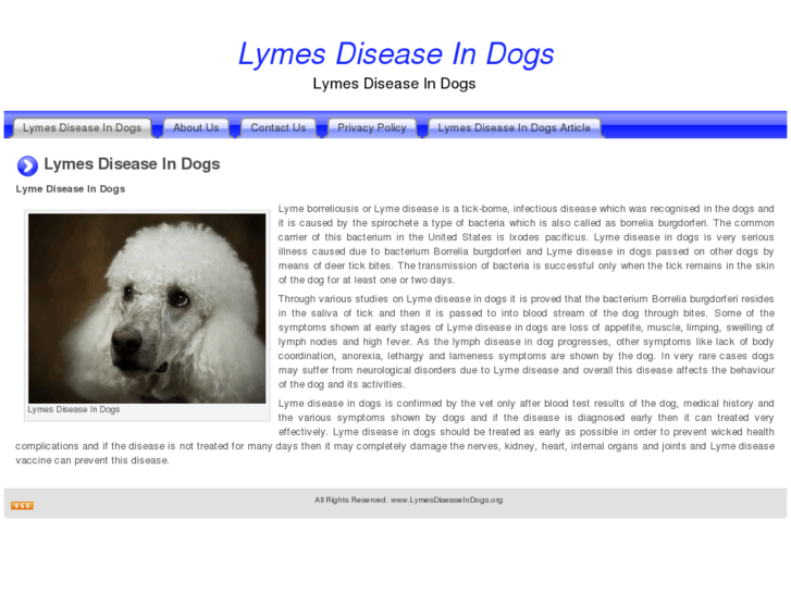 www.lymesdiseaseindogs.org