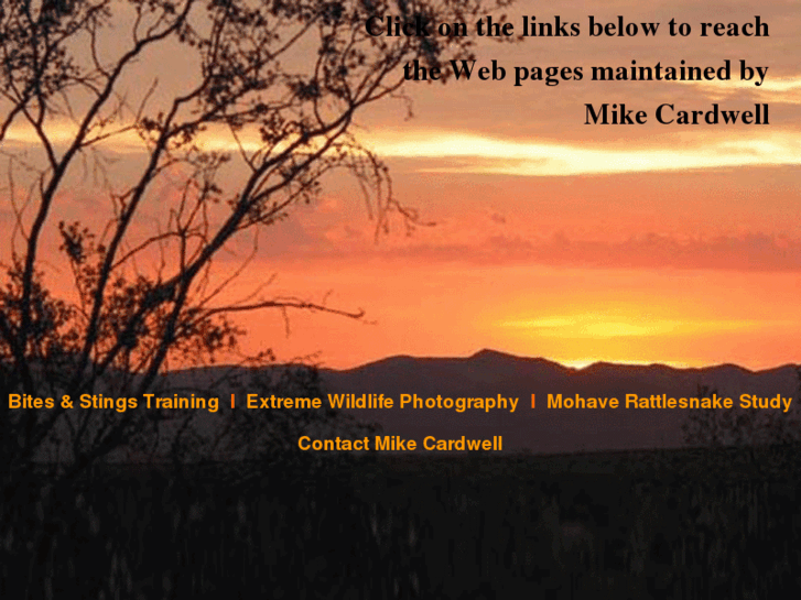 www.michaelcardwell.com