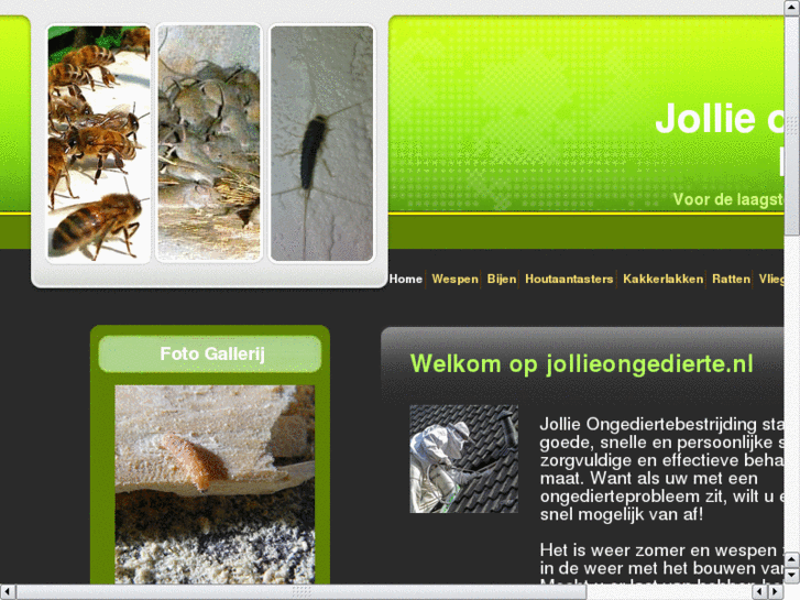 www.rojoplaagdier.nl