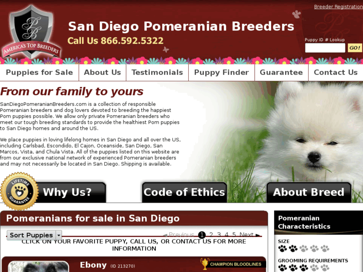 www.sandiegopomeranianbreeders.com