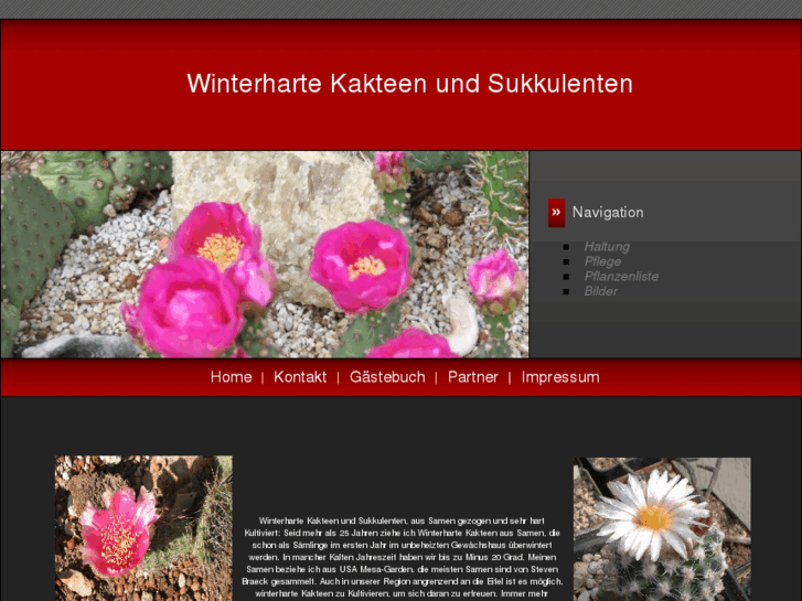 www.winterharte-kakteen.com