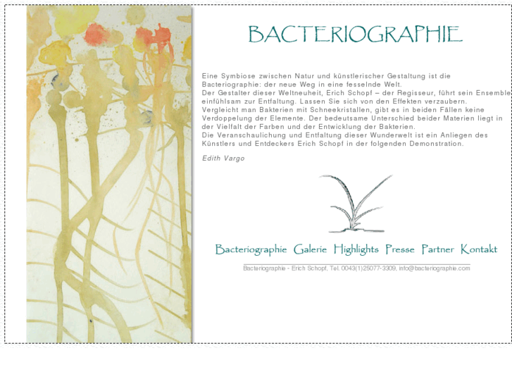 www.bacteriographie.com