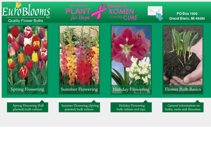 www.euroblooms.com