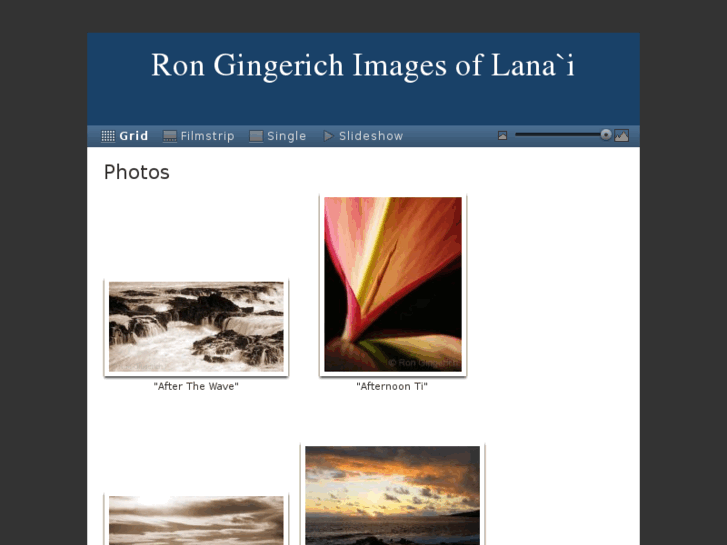 www.lanaiphotographer.com