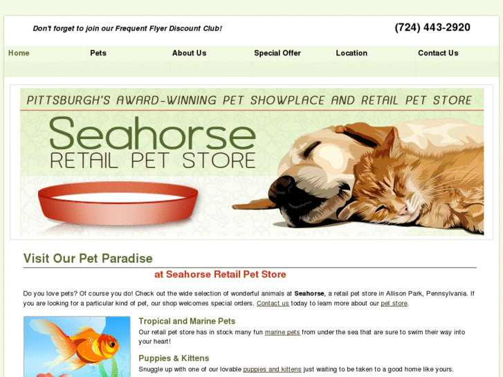 www.seahorseinc.org