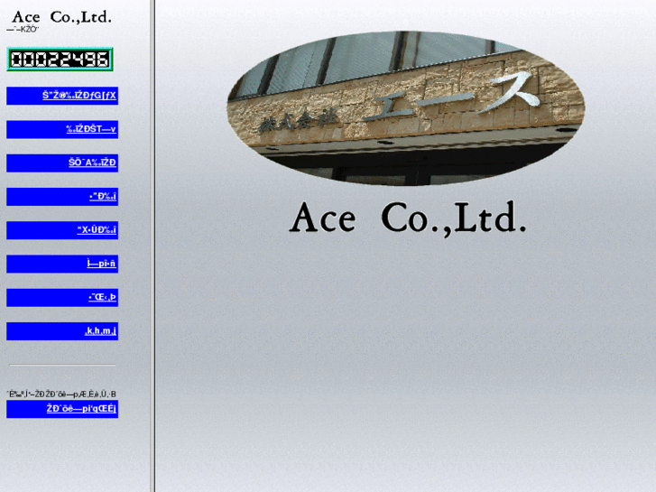 www.ace-net1.com