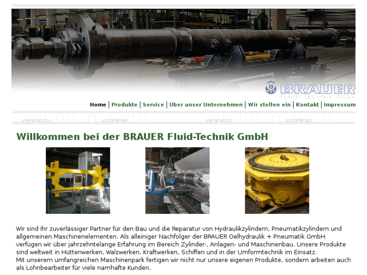 www.brauer-fluid.de