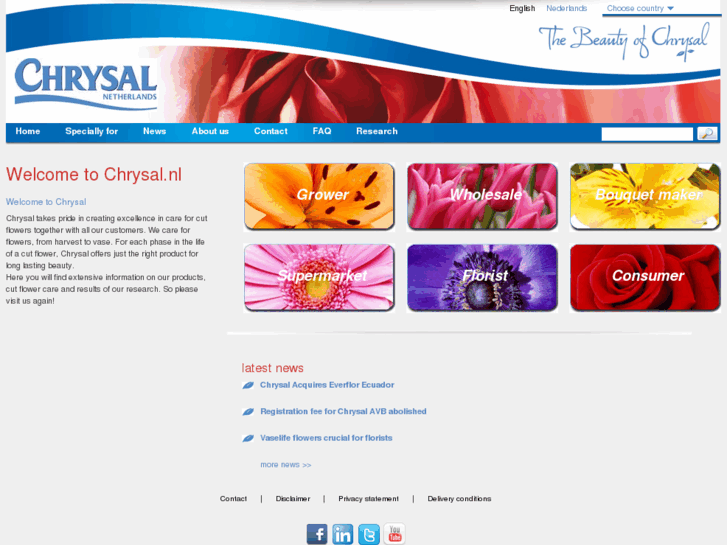 www.chrysal.nl