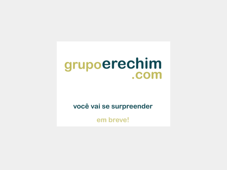 www.grupoerechim.com