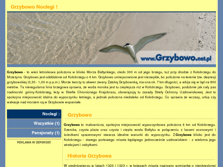 www.grzybowo.net.pl