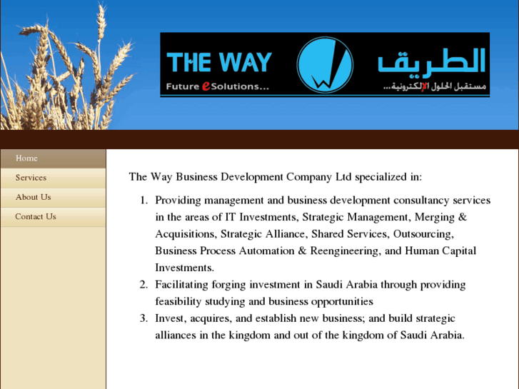 www.mazio.com