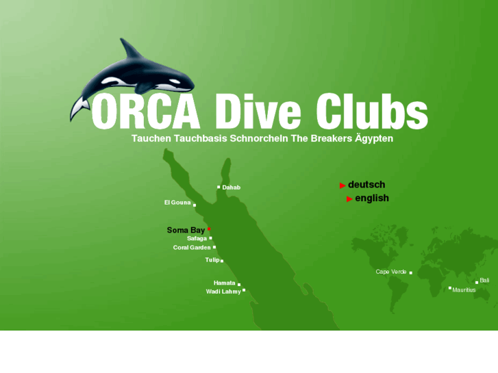 www.orca-diveclub-somabay.com