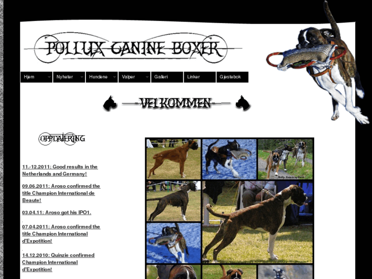 www.polluxcanine.com