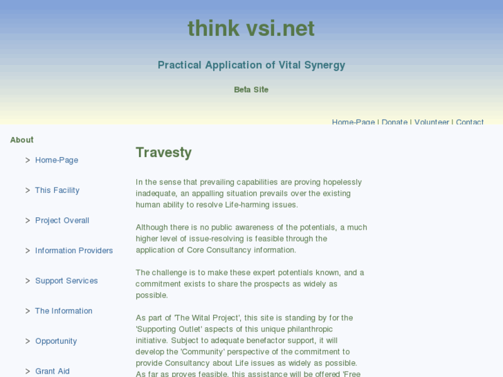 www.thinkvsi.net
