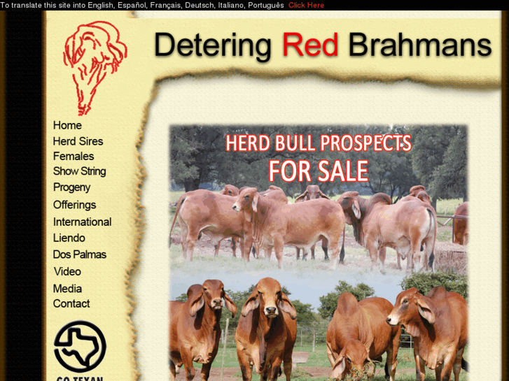 www.deteringredbrahmans.com