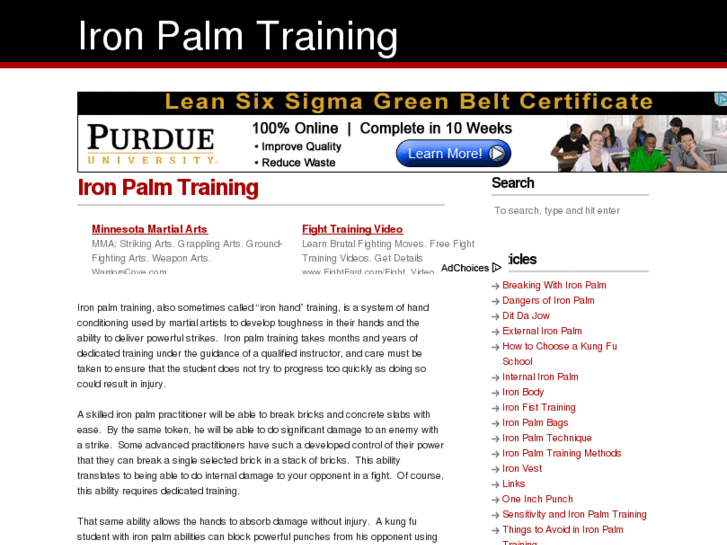 www.iron-palm-training.com