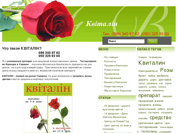 www.kvitalin.com