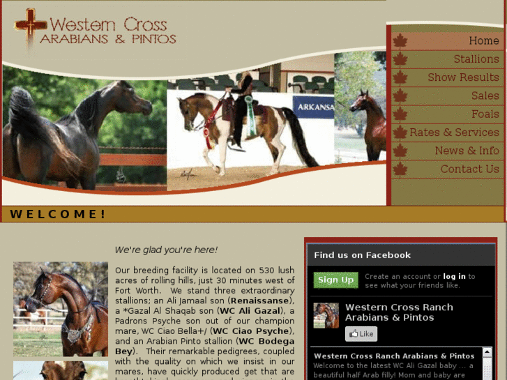 www.westerncrossranch.com