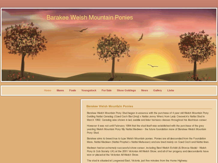 www.barakeestud.com