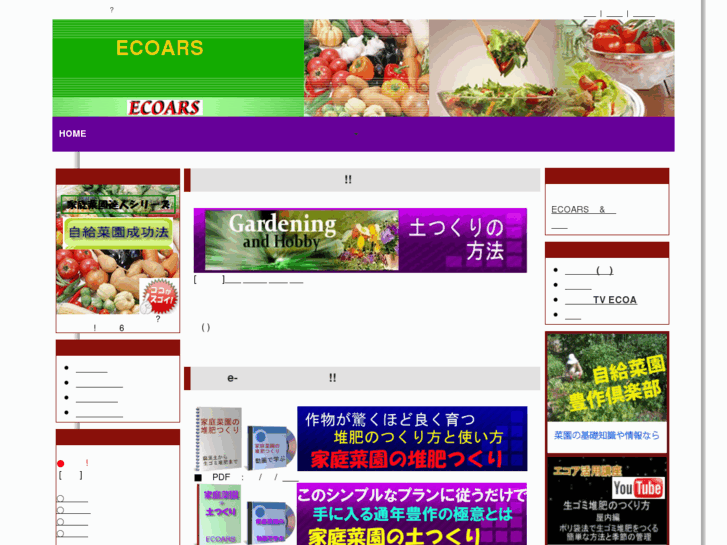 www.ecoa.co.jp