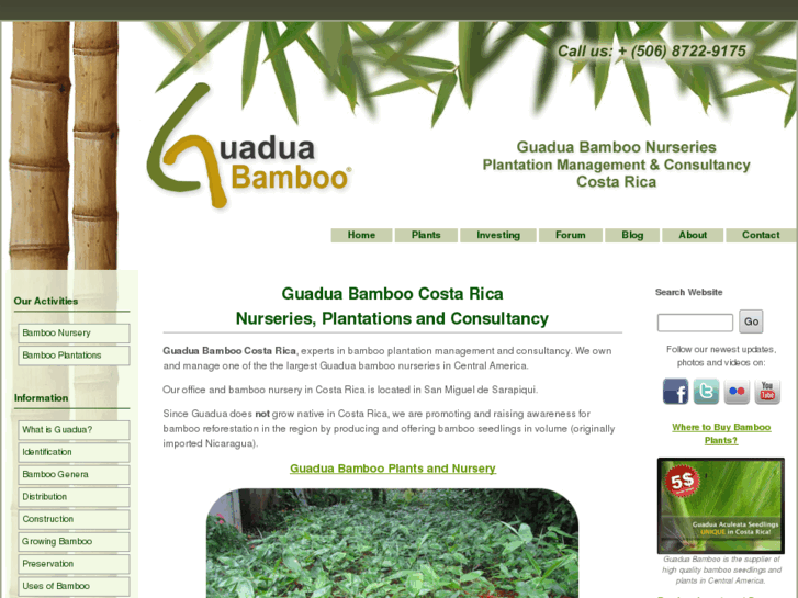 www.guaduabamboocostarica.com