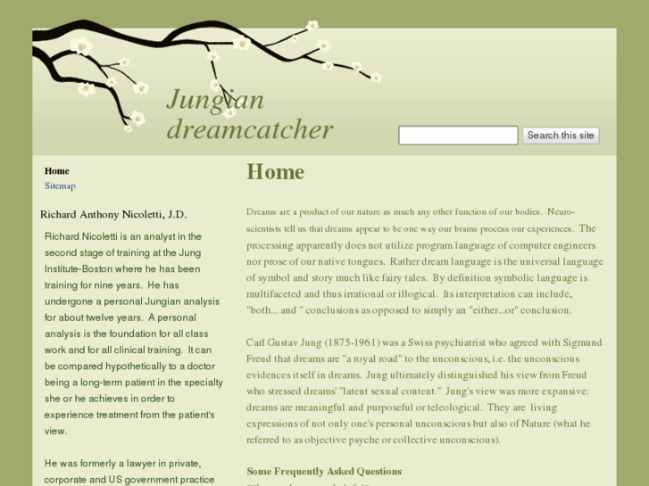 www.jungiandreamcatcher.com