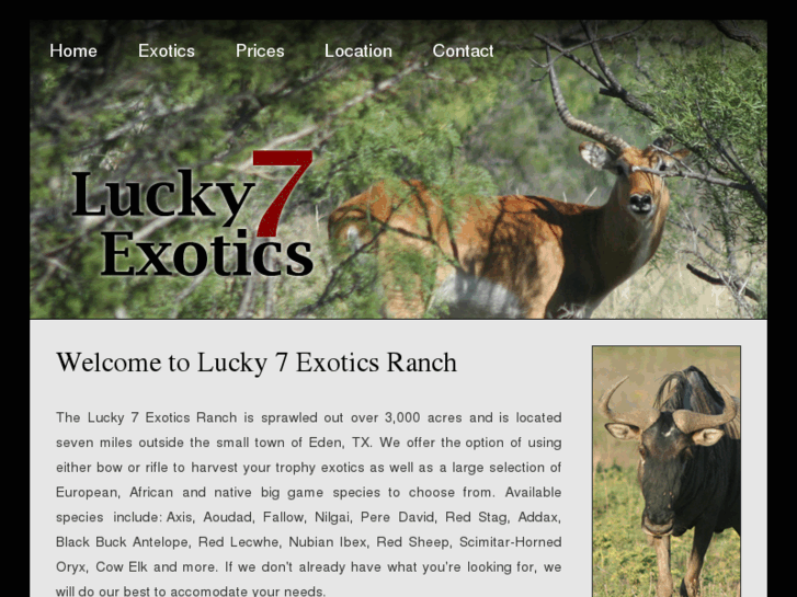 www.lucky7exotics.com