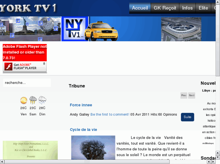 www.nytv1.net